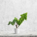 Potted green plant grows up in arrow shape over blue background. Concept business image
