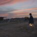 nomadland