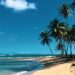Turismo dominicano