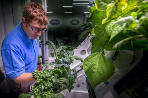 Matt Romeyn in Veggie Lab