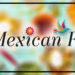 The Best Mexican Food in DR