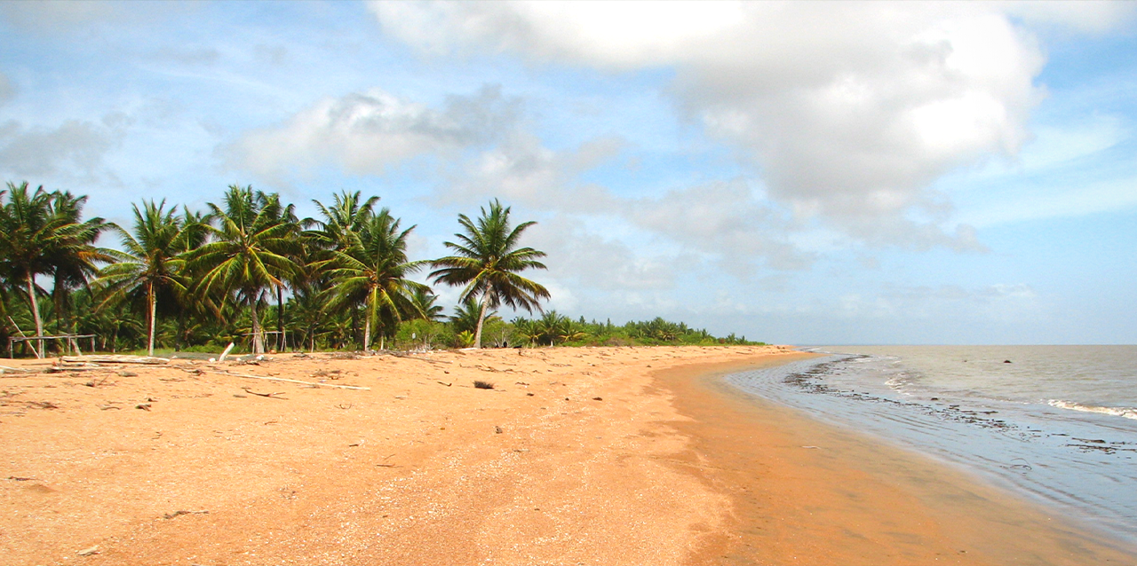 Panorámica de Shell Beach