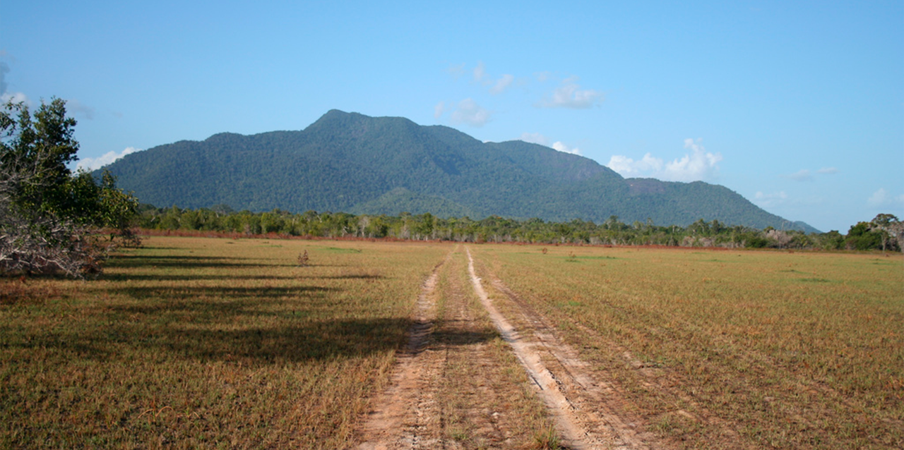 Sabana de Rupununi