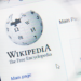 Web Wikipedia bajo una lupa