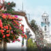 primavera