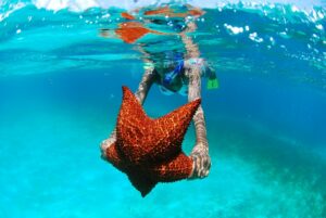 Actividades que se pueden hacer en Isla Saona