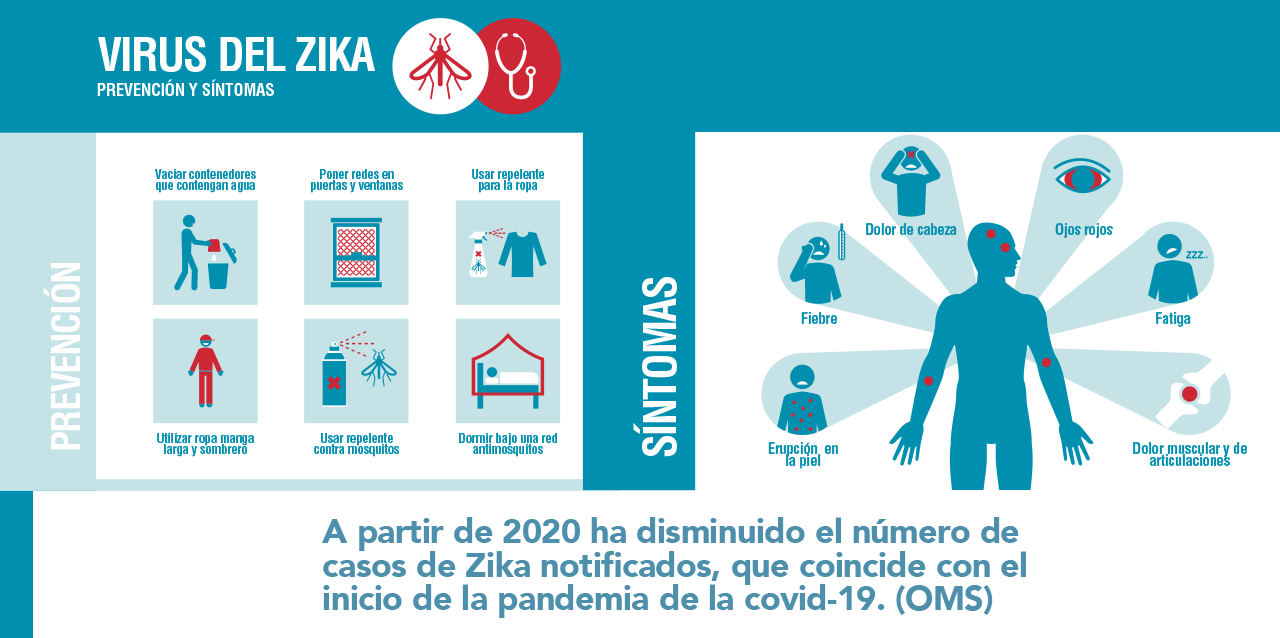 Gráfico: Prevención y sintomas del virus del Zika