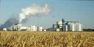 el bioetanol se puede obtener fermentando vegetales o plantas 