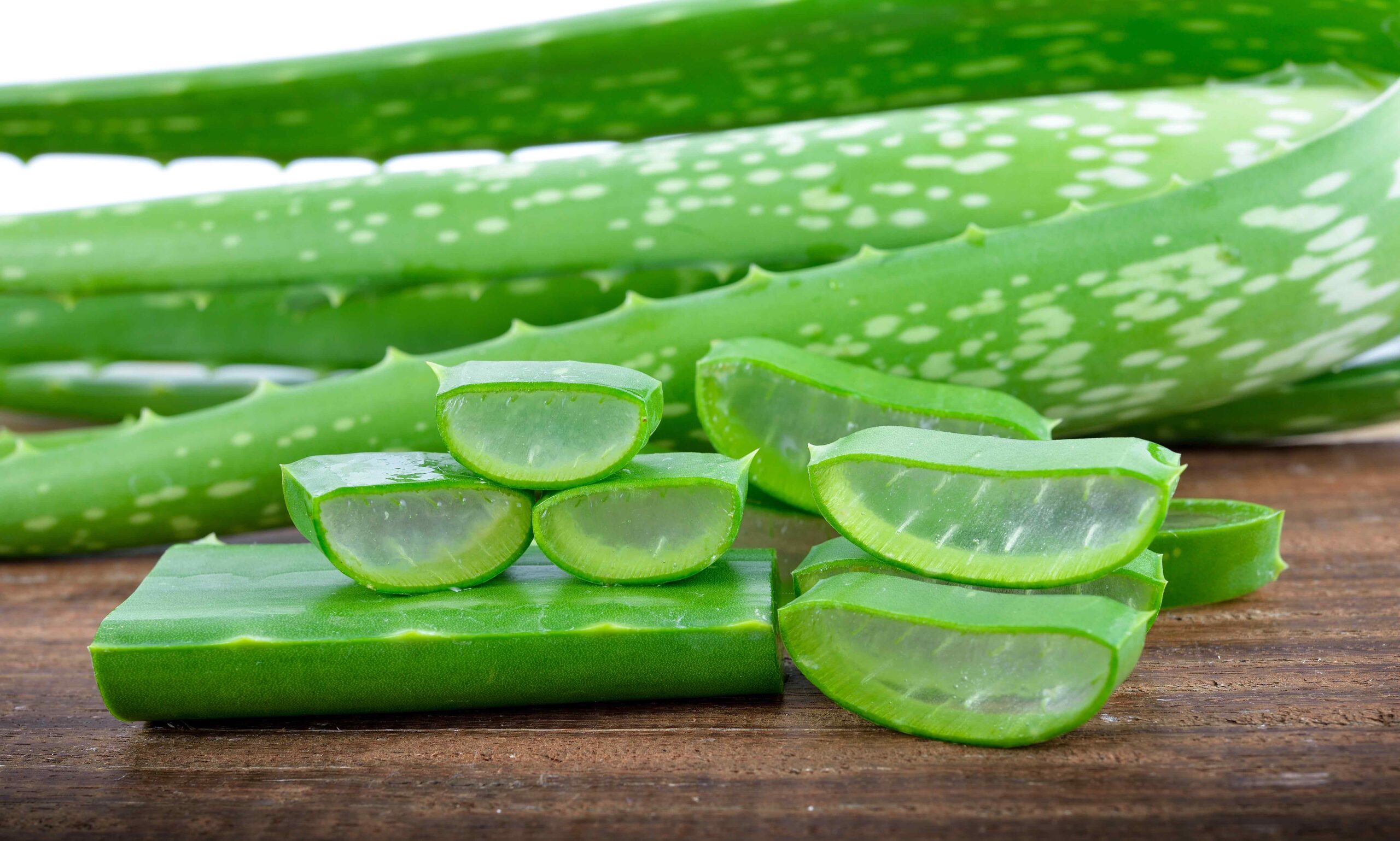 los beneficios para la piel del aloe vera son numerosos