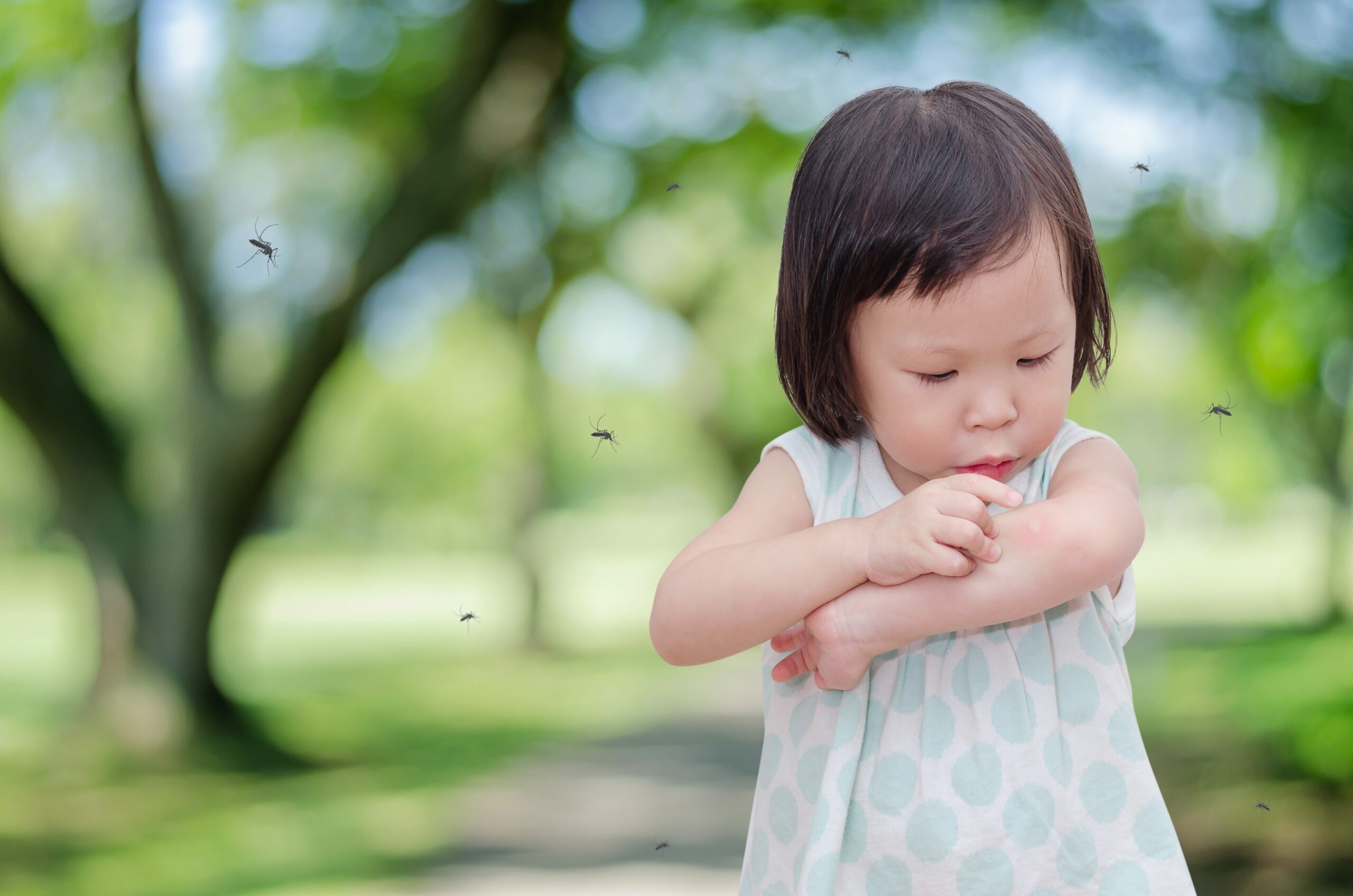 los mosquitos se guian por el dioxido de carbono y los componentes quimicos de los microbios de la piel para seleccionar sus victimas