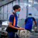sectores empleo RD