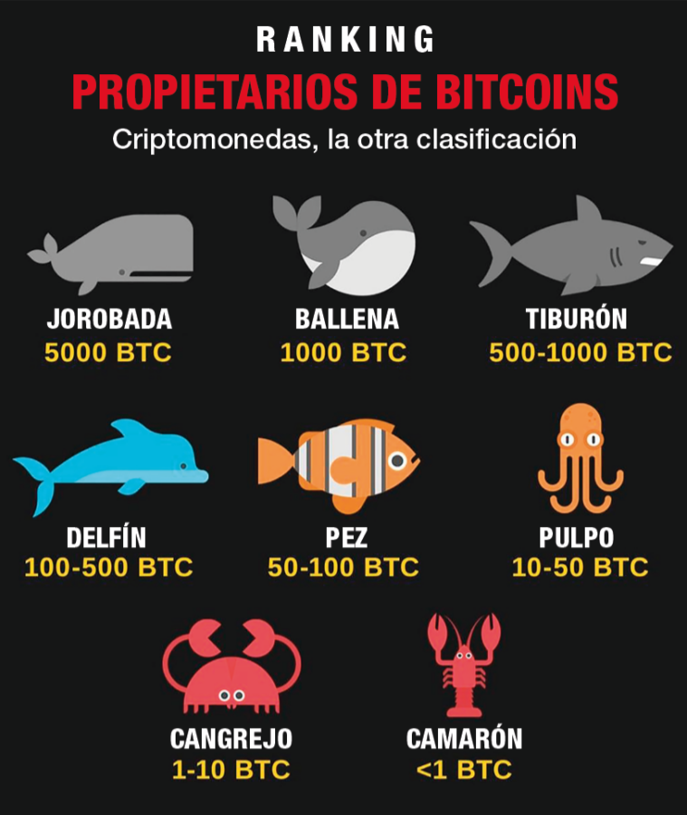 propietarios de bitcoins