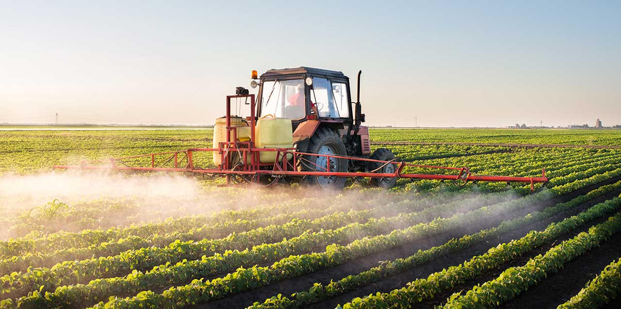 repasamos los datos de la agricutura de rd en el dia mundial del sector