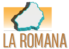 ROMANA-100