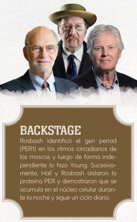 Jeffrey C. Hall, Michael Rosbash y Michael W. Young