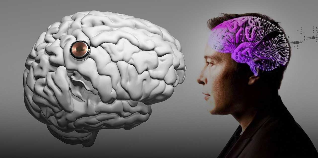 neuralink de elon musk podra probar sus implantes en cerebros humanos