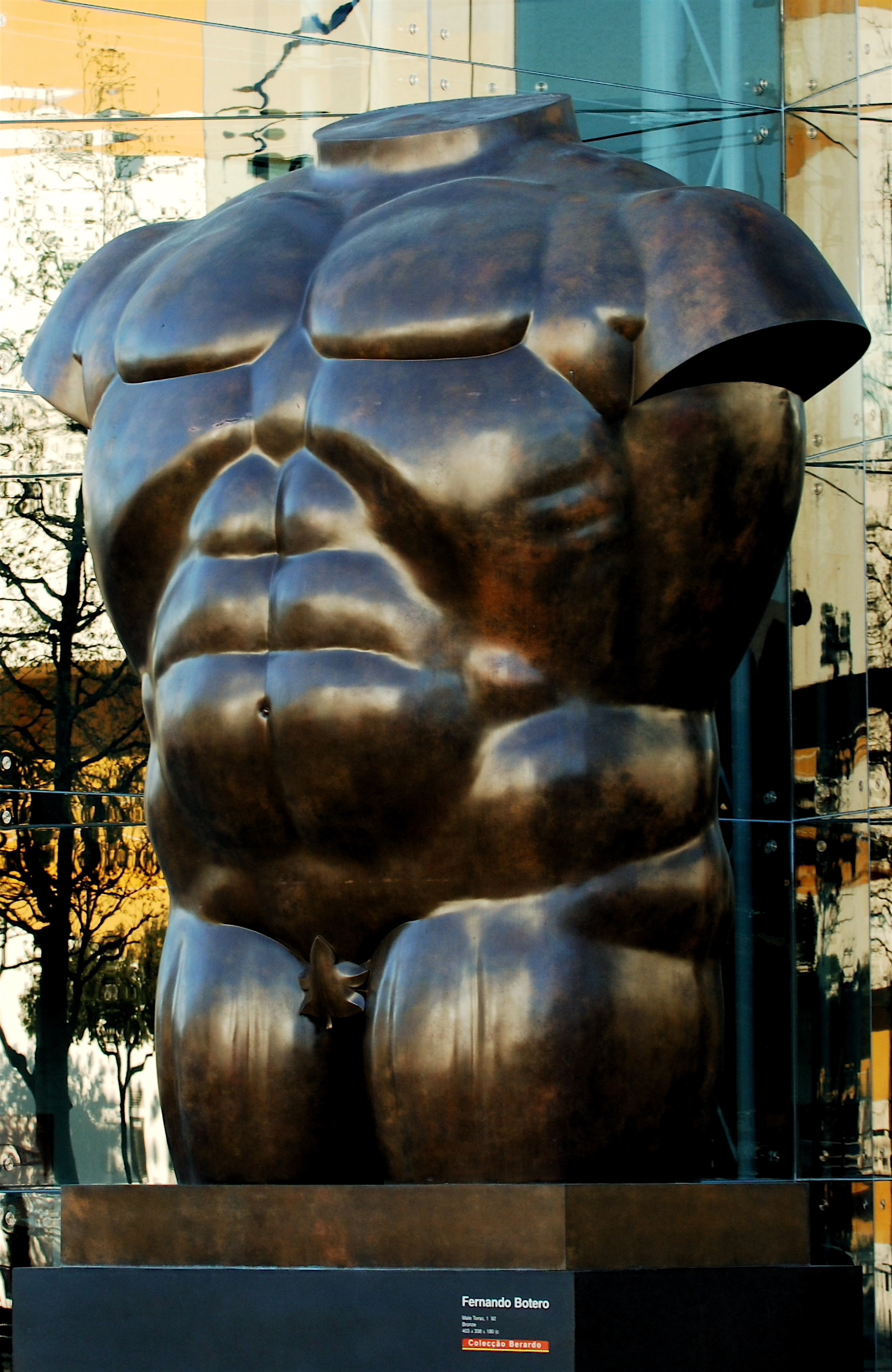 Torso